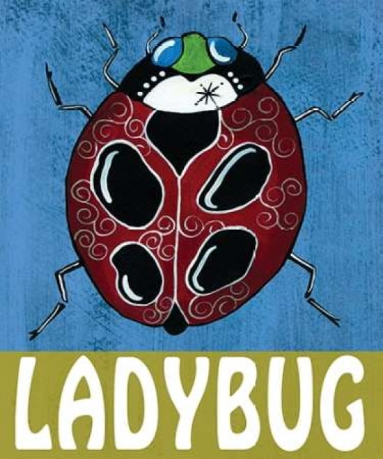 Ladybug Canvas Art - Shanni Welsh (20 x 24)