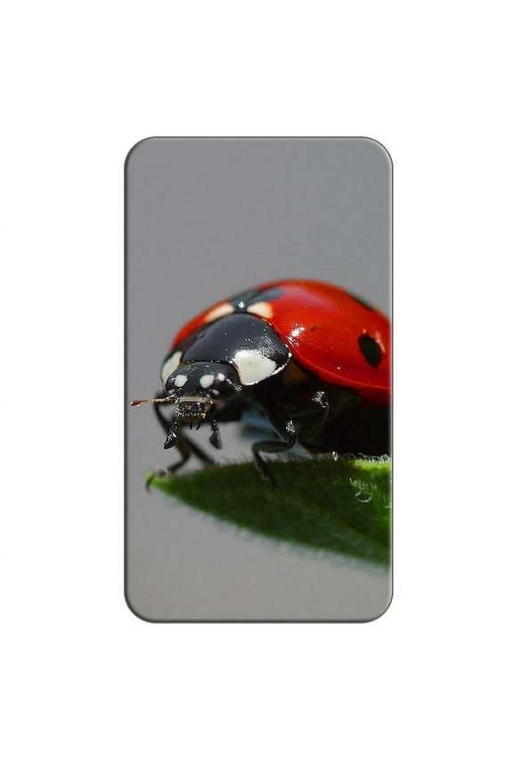 Ladybug Close-up - Lady Bug Beetle Lapel Hat Pin Tie Tack