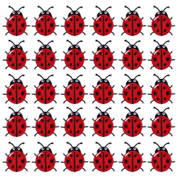 Ladybug Computerized Embroidery Polyester Iron on/Sew on Patches Costume Accessories Appliques Red 38x34x1.5mm for DIY