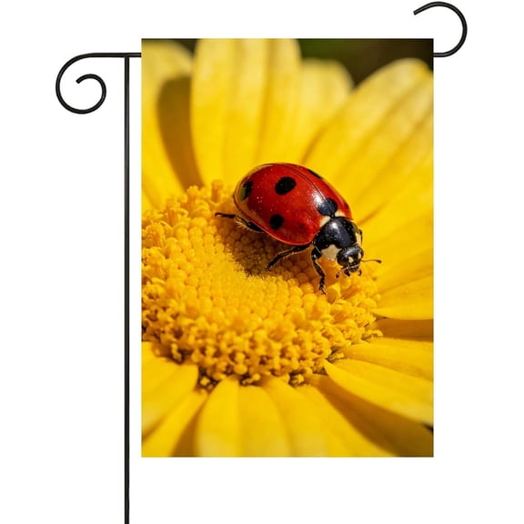 Ladybug Crawling on a Daisy Flowers Spring Scene Garden Flag 1218 Inch Small Vertical Double Sided Seasonal Outside Decor for Farmhouse Yard