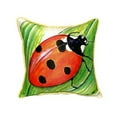 thumbnail image 1 of Ladybug Extra Large Zippered Pillow 22x22, 1 of 2