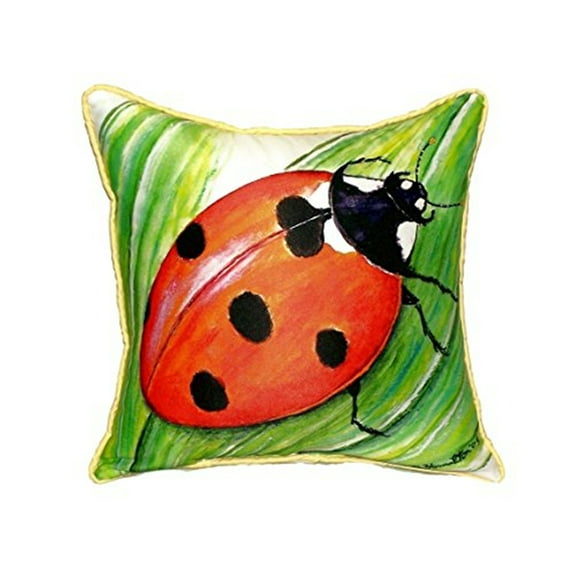 Ladybug Extra Large Zippered Pillow 22x22