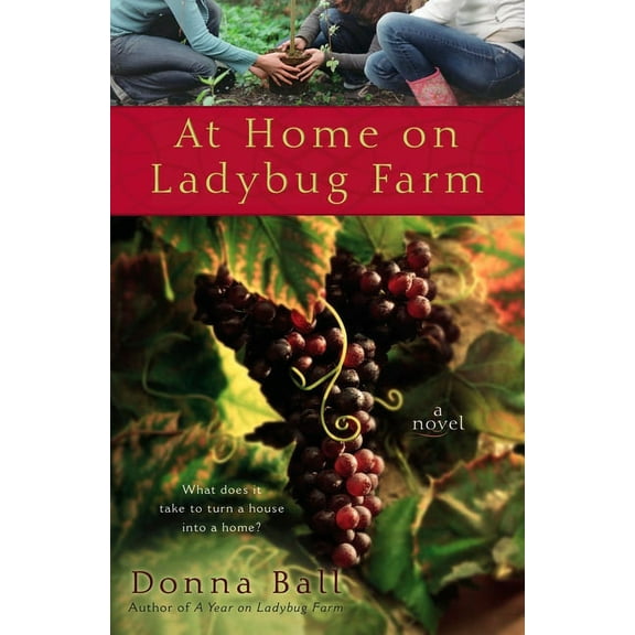 Ladybug Farm Novel At Home on Ladybug Farm, (Paperback)