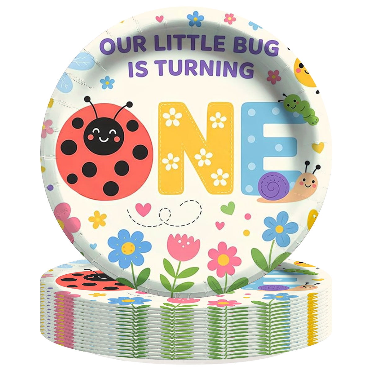 Ladybug Pattern Single Ladybug First 1st One Paper Plates Birthday Party Supplies Decorations ...