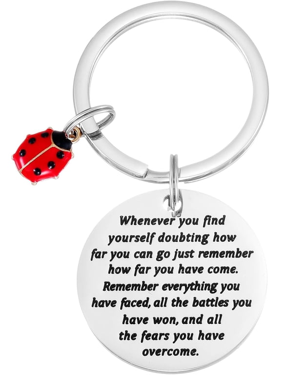 Ladybug Keychain for Women Men Inspirational Miraculous Lady Bug Birthday Good Luck Jewelry Ladybug Keychains