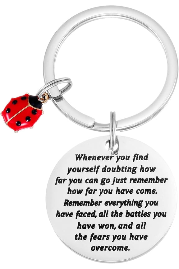 Ladybug Keychain for Women Men Inspirational Miraculous Lady Bug Birthday Good Luck Jewelry Ladybug Keychains
