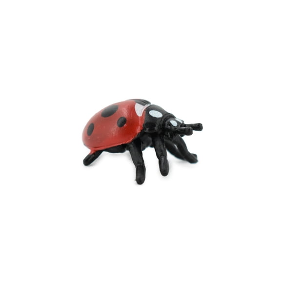 Ladybug, Lady Bug, Beetles, Hand Painted, Rubber Insect, Realistic Toy Figure, Model, Replica, Kids, Educational, Gift, 1 1/4" CH198 BB117