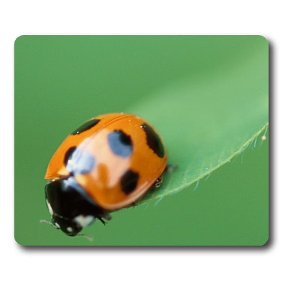 Ladybug Mouse pads Gaming Mouse Pad 9.84x7.87 inches