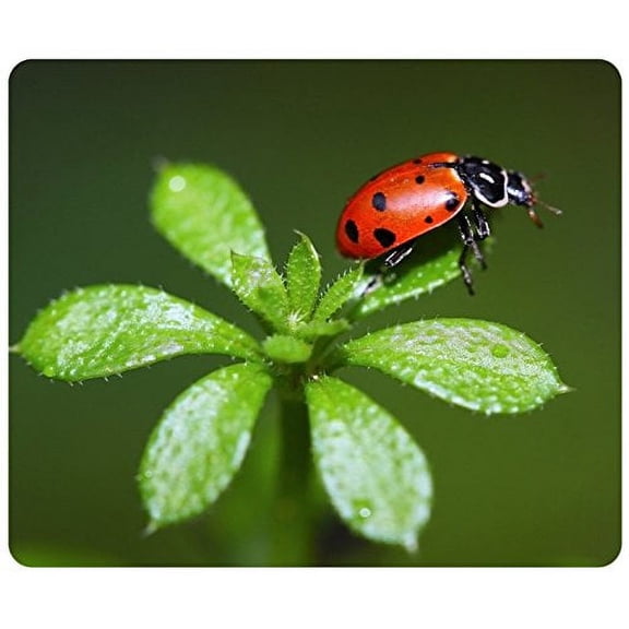 Ladybug Mouse pads Gaming Mouse Pad 9.84x7.87 inches