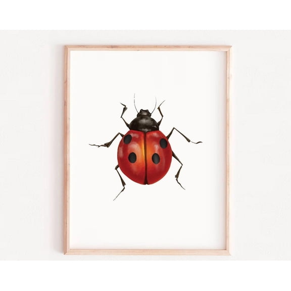 Ladybug Nursery Wall Art Girl Nursery Decor Bugs Kids Poster Ladybug Baby Room Decoration Bugs Nursery Wall Wall Art Modern Wall Decor