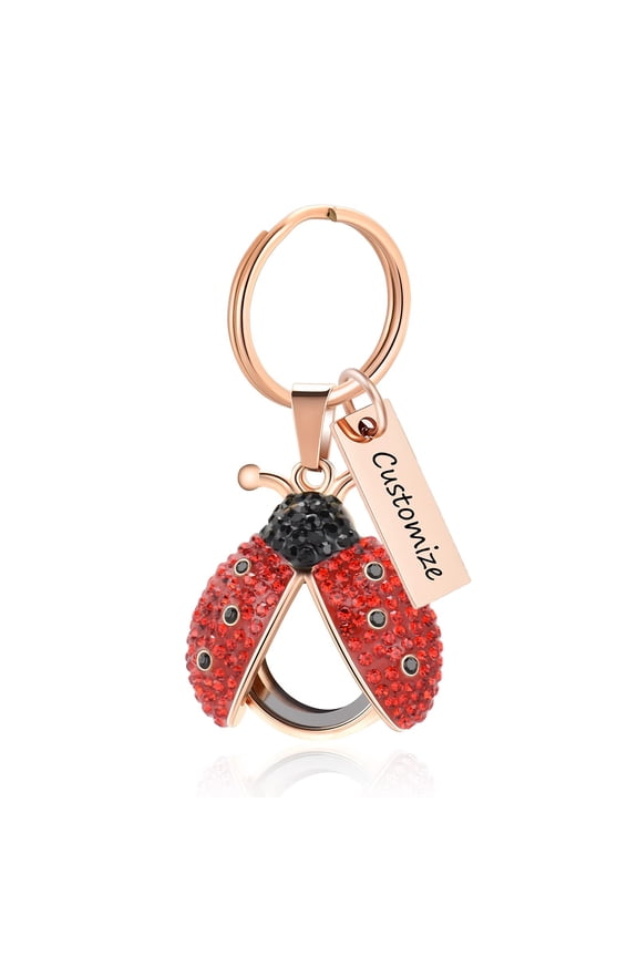 Ladybug Pendant Keepsake Cremation Jewelry for Ashes Urn Necklace Lockets Keyring for Human Ashes Pet Ashes Human Memorial Keychain