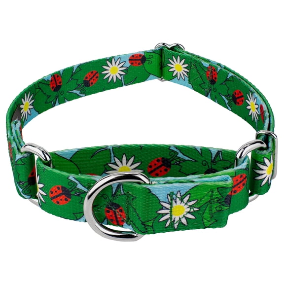 Country Brook PetzĀ® Ladybug Picnic Martingale Dog Collar, Small