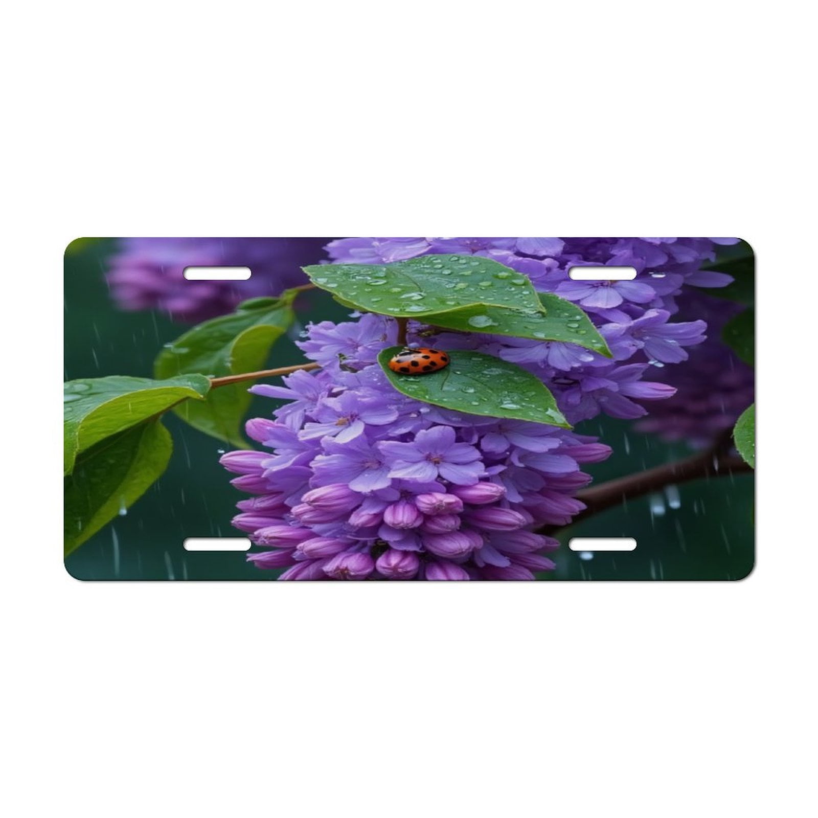 Muishi[2pcs] Ladybug Bubbles Dots License Plate Frame