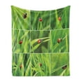 thumbnail image 1 of Ladybug Soft Flannel Fleece Blanket, Ladybug over Fresh Grass Divided Collage Vibrant Life Lawn Foliage Theme Vegetaiton, Cozy Plush for Indoor and Outdoor Use, 50" x 60", Green Red, by Ambesonne, 1 of 5