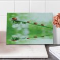 thumbnail image 1 of Ladybugs Cutting Board, Ladybugs on a Stem over the Water Striped Animals Fresh Environmental Life Image, Decorative Tempered Glass Cutting and Serving Board, Small Size, Red Green, by Ambesonne, 1 of 1