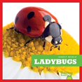 thumbnail image 1 of Pre-Owned Ladybugs (Paperback) 1620314711 9781620314715, 1 of 1