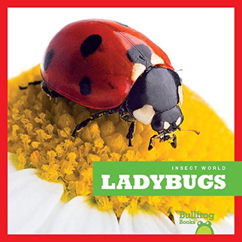 Pre-Owned Ladybugs (Paperback) 1620314711 9781620314715