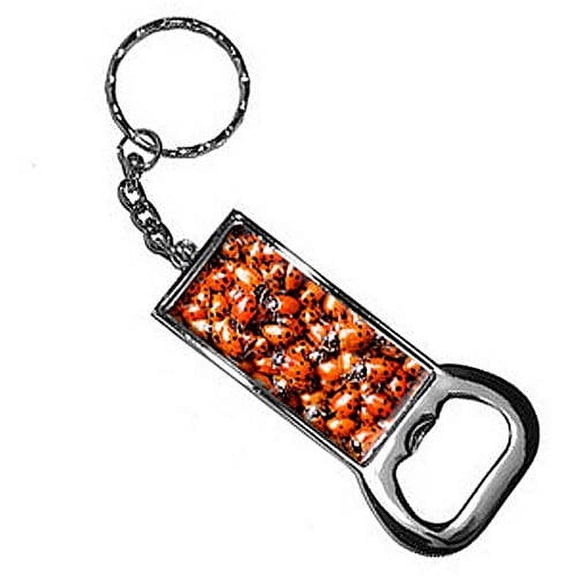 Ladybugs Lady Bugs Keychain Key Chain Ring Bottle Bottlecap Opener