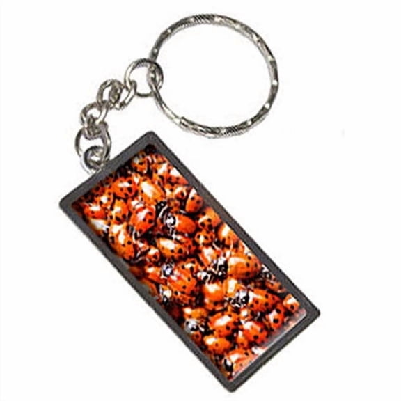 Ladybugs Lady Bugs Keychain Key Chain Ring