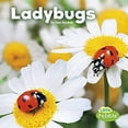 thumbnail image 1 of Pre-Owned Ladybugs (Little Pebble: Little Critters) Hardcover, 1 of 1