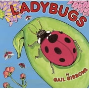 Ladybugs, Paperback