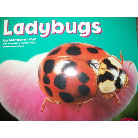 Pre-Owned Ladybugs [Scholastic] (Bugs, Bugs, Bugs!) (Paperback) 1429650532 9781429650533