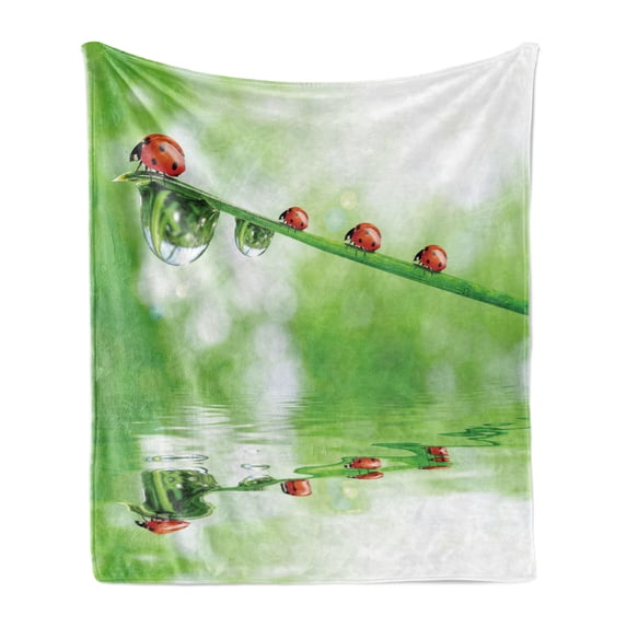 Ladybugs Soft Flannel Fleece Throw Blanket, Ladybugs on a Stem over the Water Striped Animals Fresh Environmental Life Image, Cozy Plush for Indoor and Outdoor Use, 50" x 60", Red Green, by Ambesonne