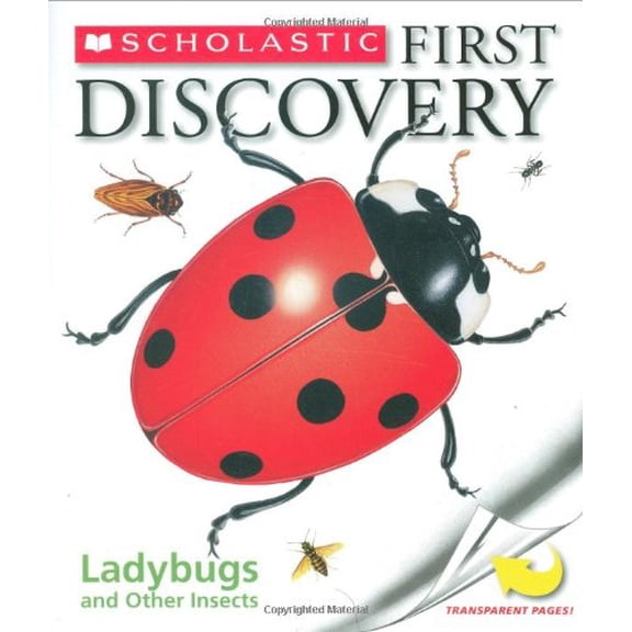 Pre-Owned Ladybugs and Other Insects (Scholastic First Discovery) Paperback