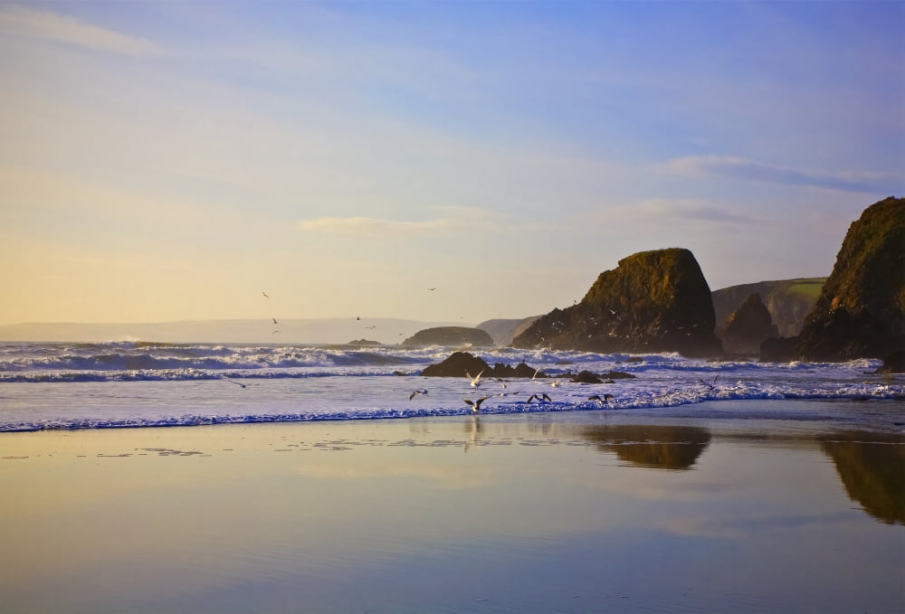 Ladys Cove The Copper Coast County Waterford Ireland Canvas Art - George Munday Design Pics (36 x 24)