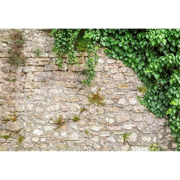 Laeacco 10x8FT Rustic Brick Wall Photography Backdrop Green Leaves Ivy Wall Backdrop Vintage Grunge Rock Retro Irregular Stone Background Natural Party Newborn Baby Shower Birthday Wedding Photo Prop