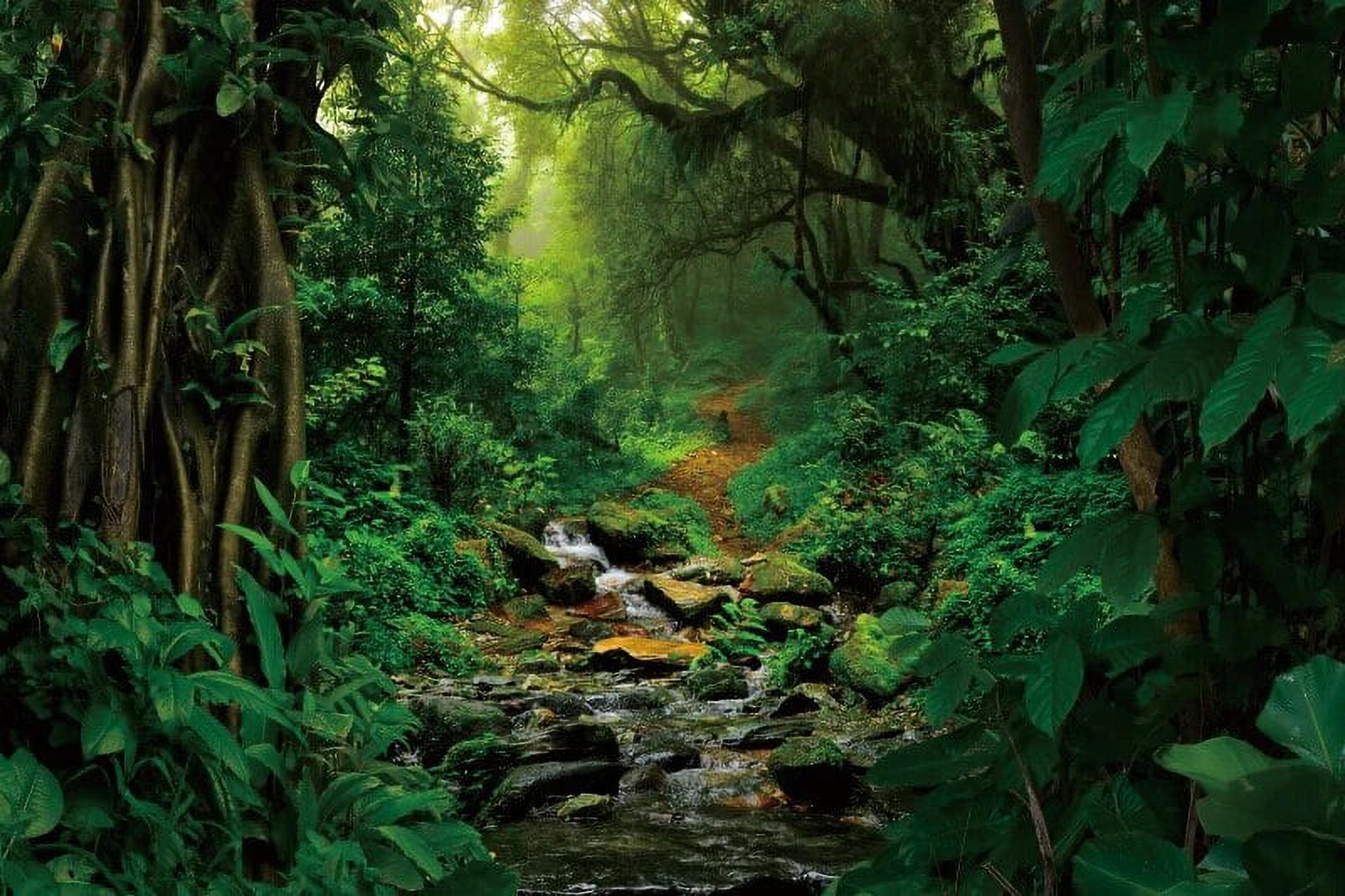 Laeacco Jungle Forest Photography Backdrop Outdoorsy Camping Theme ...