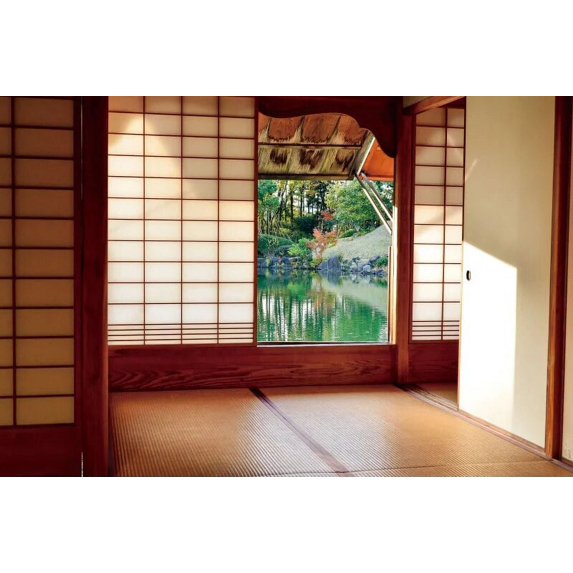 Laeacco Old House Window Scenery Green Trees Vine Vintage Grunge Baby Portrait Photography Backdrops Photo Backgrounds Photocall