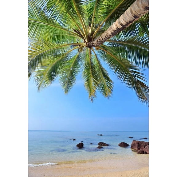 Laeacco Photo Background Summer Seaside BeachSunshine Shell Scene Baby Child Portrait Photographic Backdrop Photography Studio