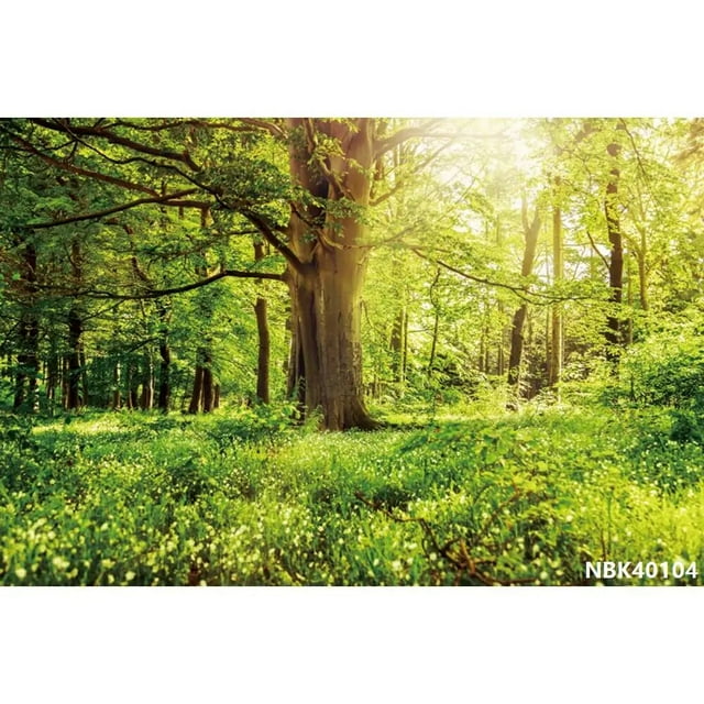 Laeacco Spring Natural Landscape Backgrounds For Photography Forest ...