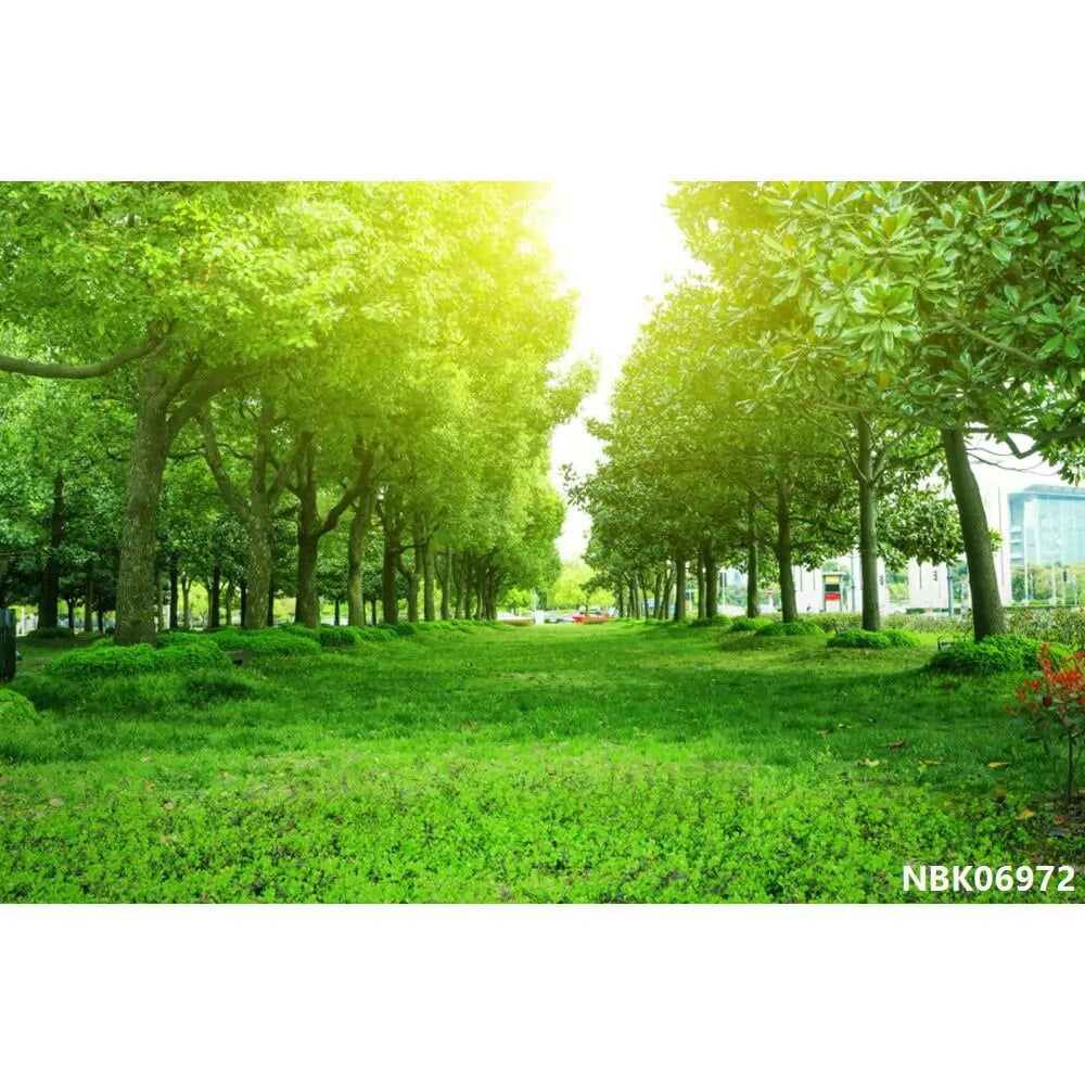 Laeacco Spring Natural Landscape Backgrounds For Photography Forest