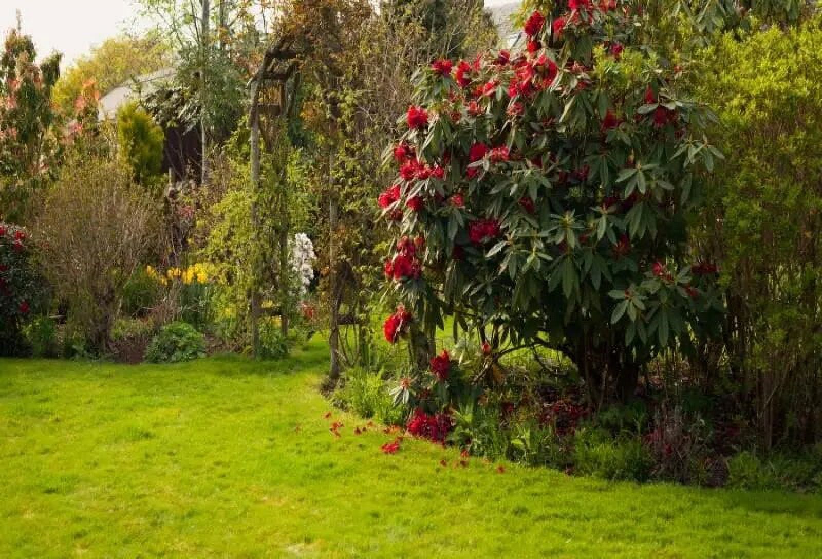 Fotohintergrund „Floral Elephants“ – 2,2x1,5 M, Polyester, Wasserfest & Wiederverwendbar