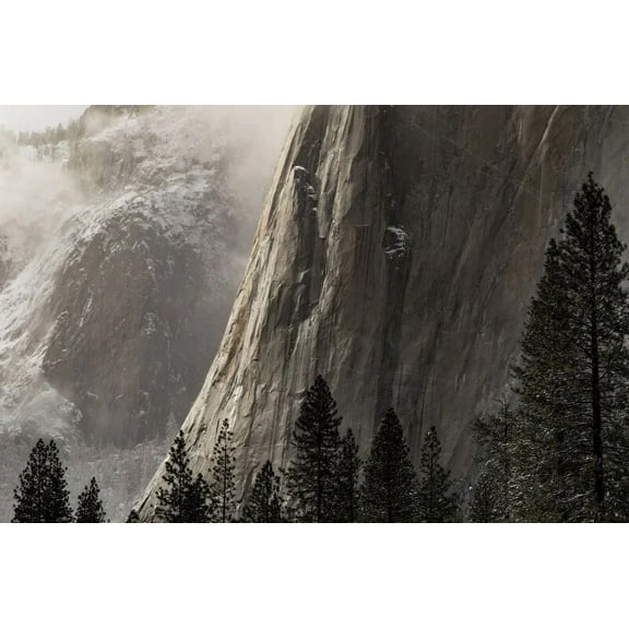 Laeacco Winter Cliff Mountain Forest Nature Wind Scene Background Room Decor Portrait Photographic Backdrop For Photo Studio