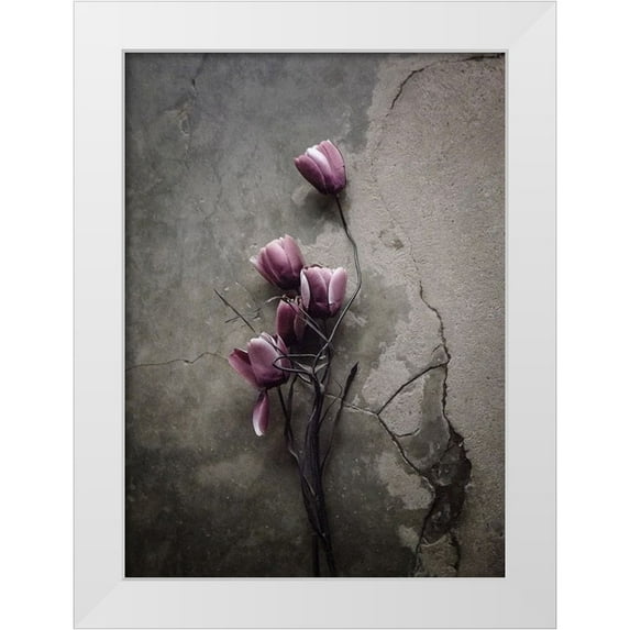 Lagaa, Kahar 19x24 White Modern Wood Framed Museum Art Print Titled - The Tulip
