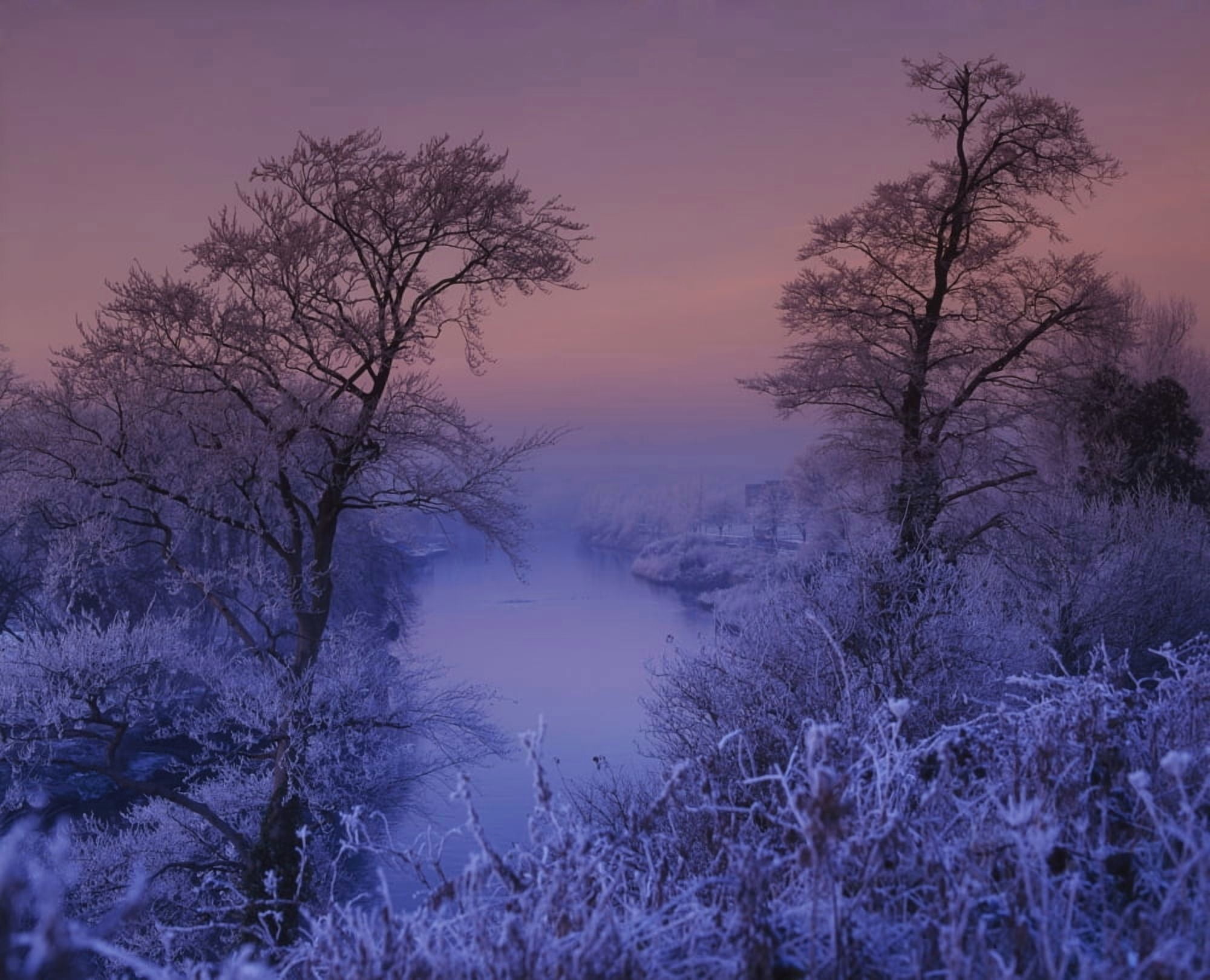 Lagan Meadows Belfast County Antrim Ireland Canvas Art - The Irish Image Collection Design Pics (32 x 26)