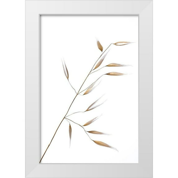 Lagandre, Thierry 13x18 White Modern Wood Framed Museum Art Print Titled - Subtle Delicateness