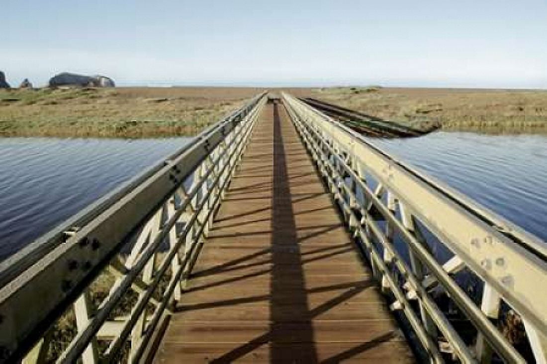 Lagoon Bridge - 2 Canvas Art - Alan Blaustein (24 x 36)