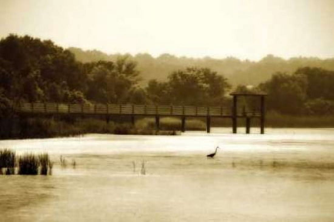 Lagoon I Canvas Art - Alan Hausenflock (20 x 28)