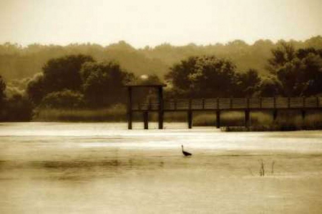Lagoon II Canvas Art - Alan Hausenflock (20 x 28)