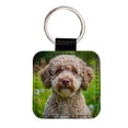 thumbnail image 1 of Lagotto Romagnolo Dog Photo Faux Leather Square Keychain, 1 of 7