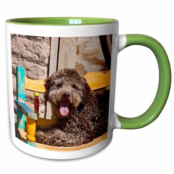 3drose, Lagotto Romagnolo Lying on a Wooden Bench., 15oz Two-tone Green Mug