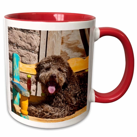 3drose, Lagotto Romagnolo Lying on a Wooden Bench., 15oz Two-tone Red Mug