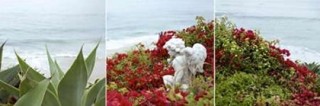 Laguna Coast - 3 Canvas Art - Alan Blaustein (8 x 24)