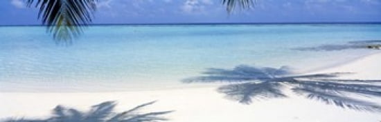 Laguna Maldives Canvas Art - Panoramic Images (36 x 12)