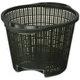 thumbnail image 1 of Laguna Sturdy Plastic Round Planting Basket, 10-Inch, 1 of 2