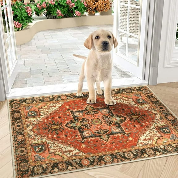 Lahome Door Mat 32"x48" Vintage Floor Mat, Non Slip Washable Doormat Quickly Absorb Welcome Mats Low-Pile Front Door Rug Inside Entryway Carpet for Entrance,Red